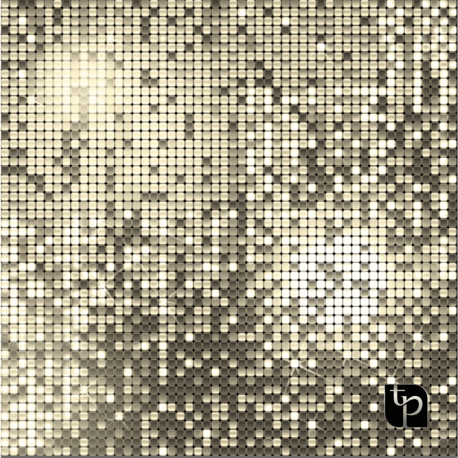 Mosaic backdrop design featuring shimmering gold and silver squares, ideal for enhancing photography settings, showcasing The Phototique branding.