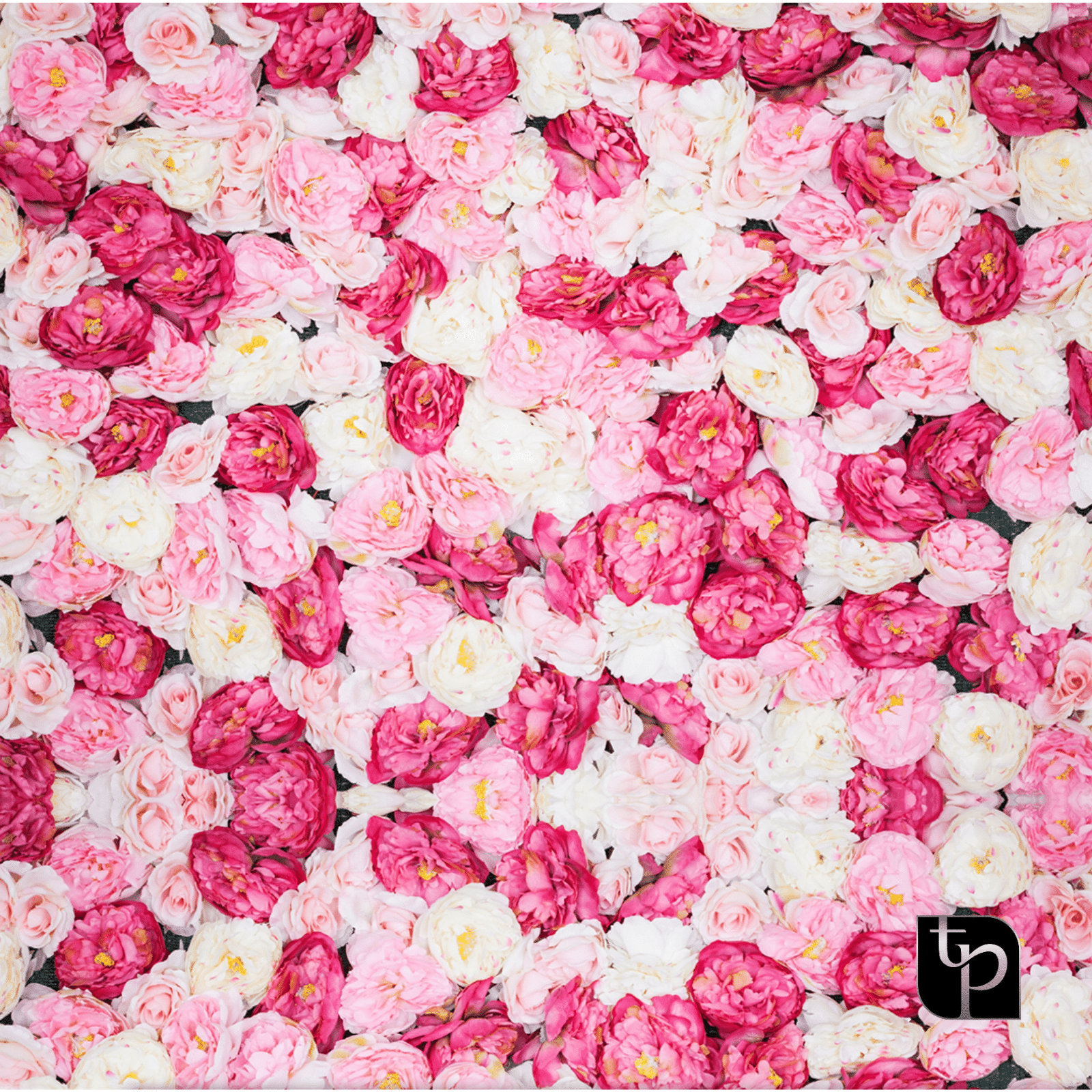 Floral backdrop featuring a vibrant arrangement of pink and white roses, ideal for enhancing photography settings, with The Phototique logo in the bottom right corner.