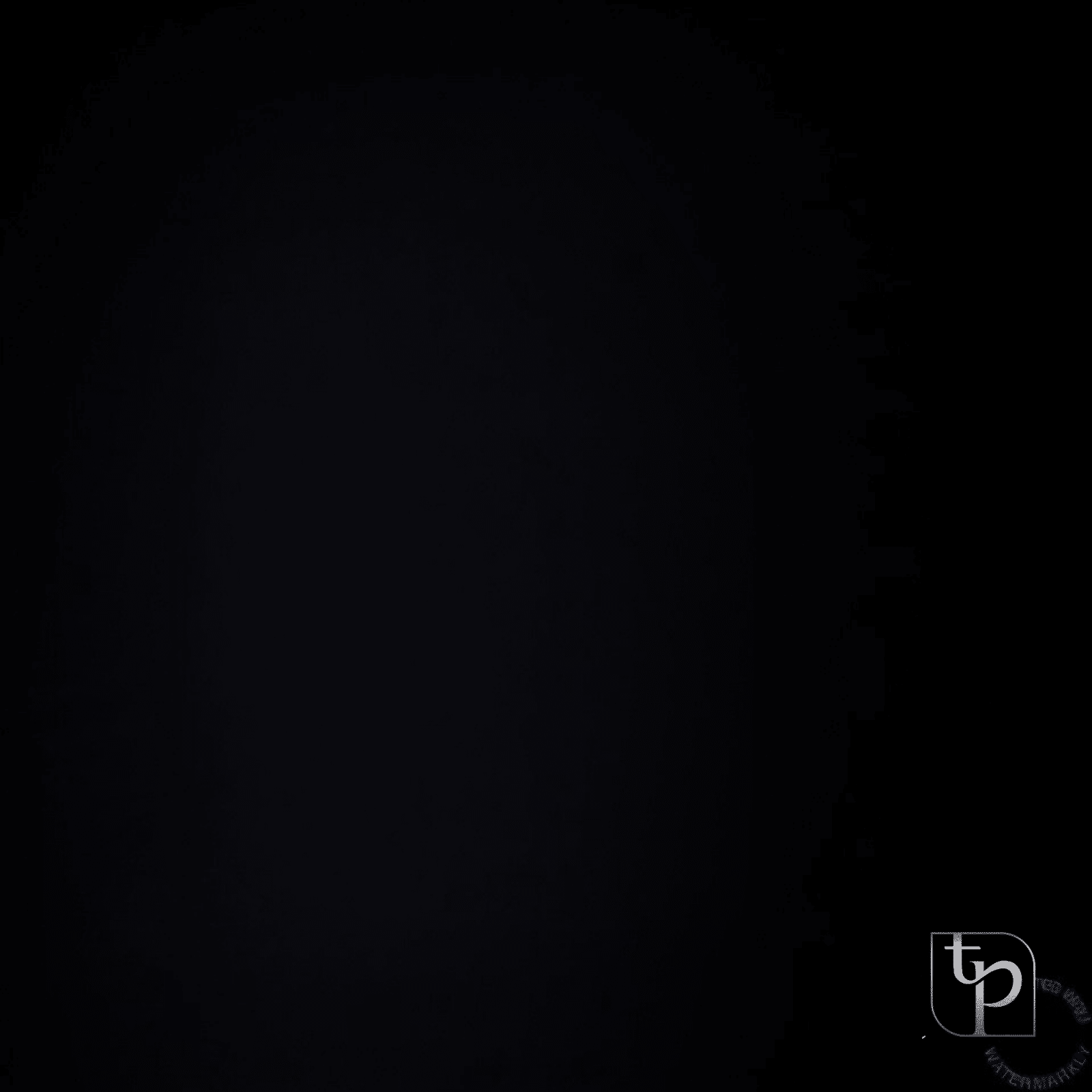 Black photographic backdrop with subtle texture, featuring The Phototique logo in the corner, ideal for enhancing photo shoot aesthetics.