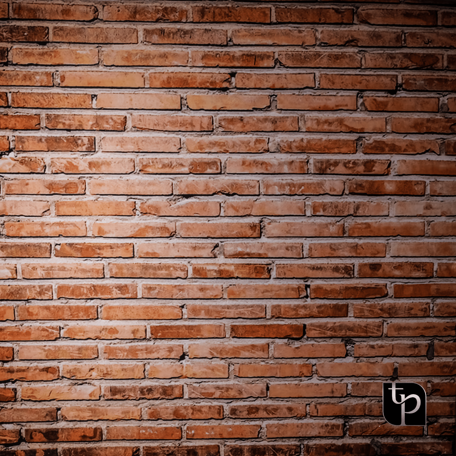 Textured brick backdrop featuring warm tones, ideal for enhancing photography settings, with The Phototique logo in the corner.