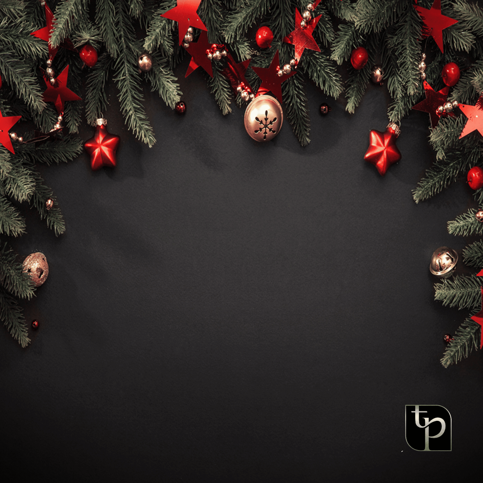 Christmas-themed backdrop featuring evergreen branches, red stars, and ornaments on a dark background, ideal for holiday photo shoots.
