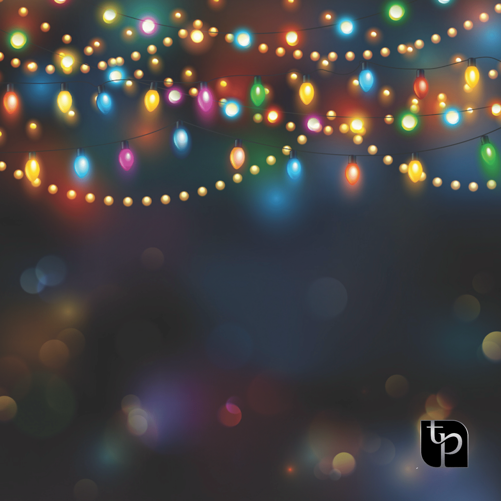 Colorful holiday lights strung across a dark background, enhancing festive photography backdrops for seasonal photo shoots, featuring The Phototique logo in the bottom right corner.
