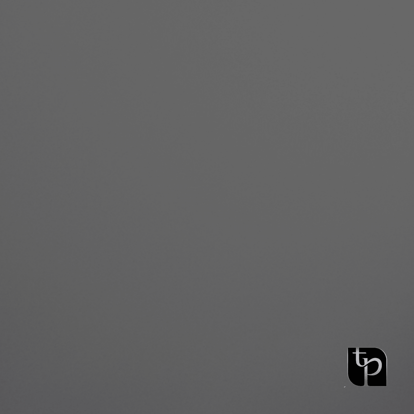 Gray photographic backdrop with subtle texture and The Phototique logo in the bottom right corner, ideal for enhancing photography settings.