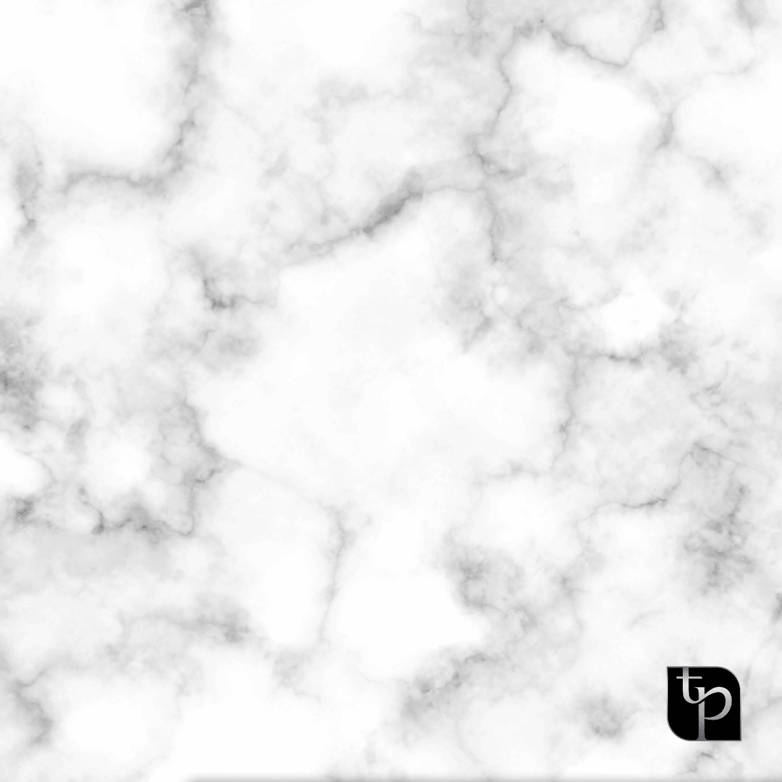 Marble texture backdrop in white and grey tones, featuring soft, swirling patterns, ideal for enhancing photography settings; logo of The Phototique in the bottom right corner.