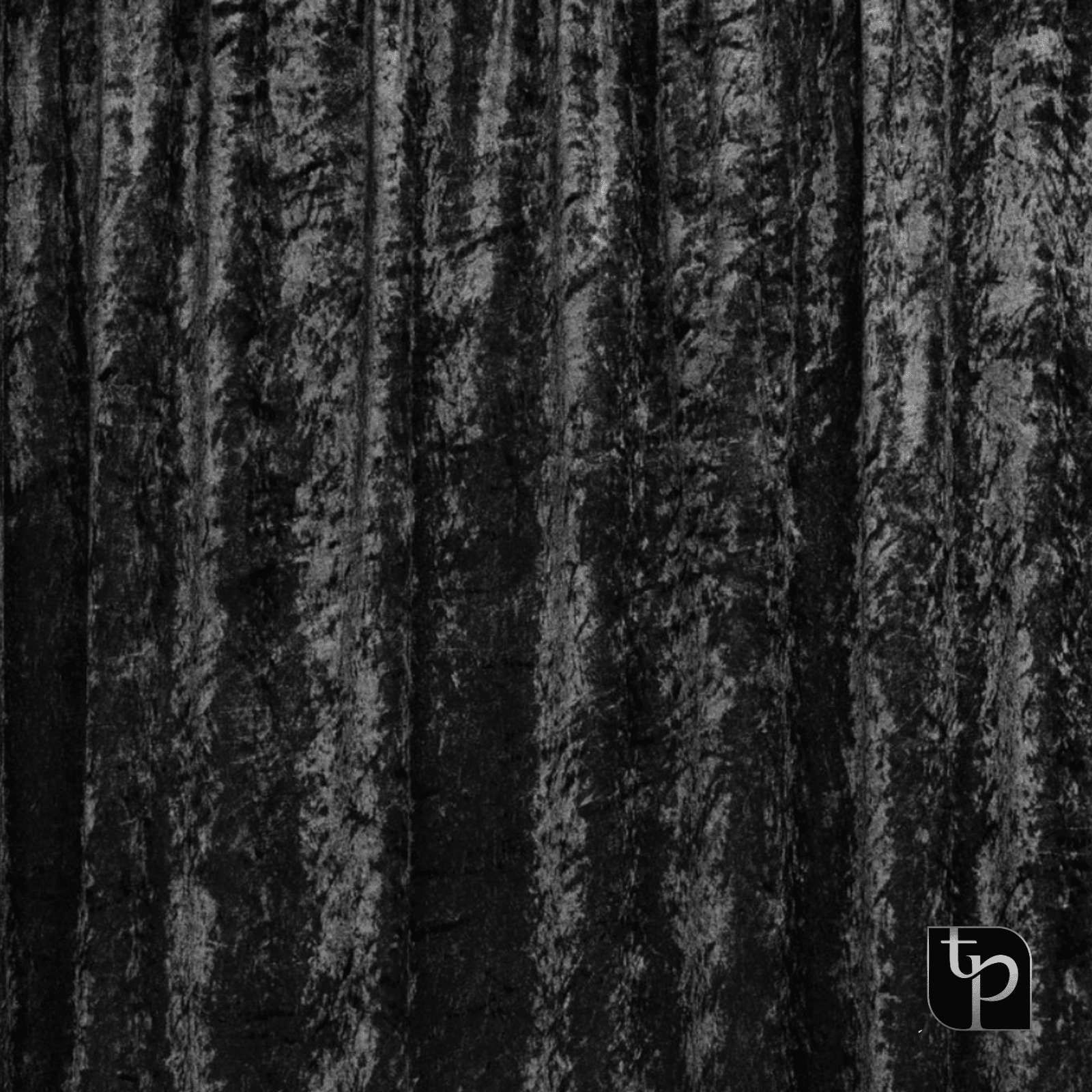 Black velvet backdrop with textured surface, ideal for enhancing photography settings, showcasing The Phototique's backdrop offerings.