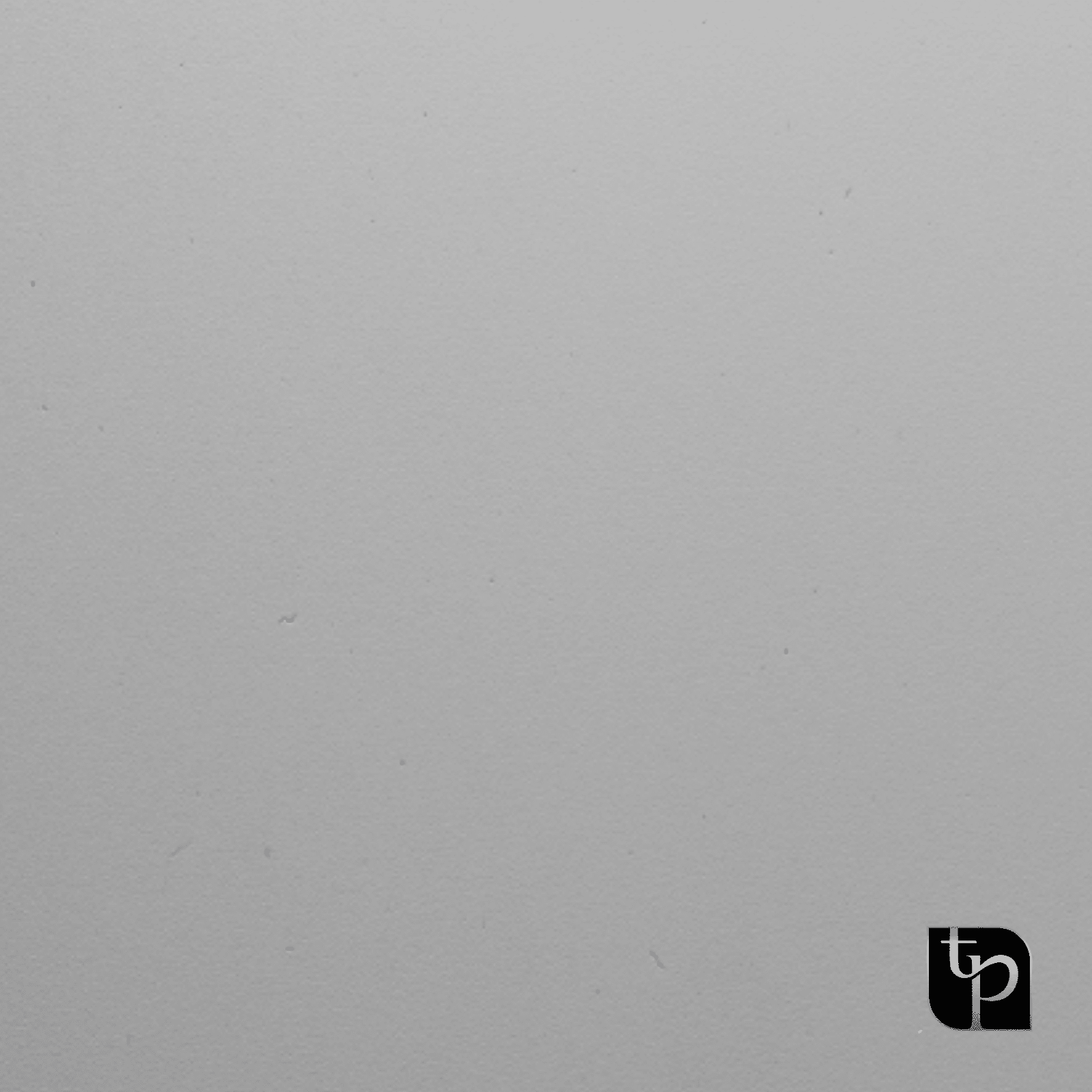 Gray photographic backdrop with subtle texture, featuring The Phototique logo in the bottom right corner.