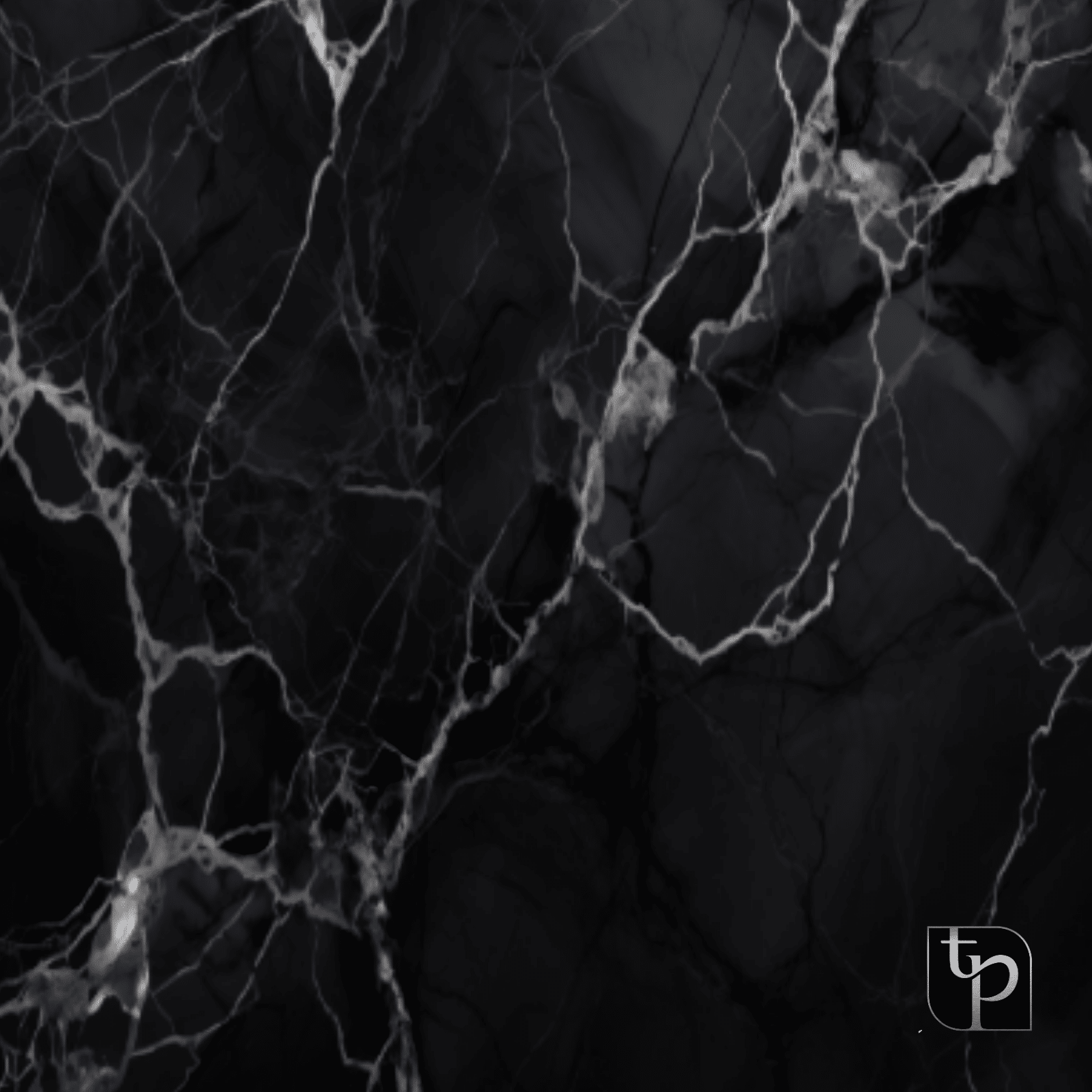 Black marble backdrop with white veining, showcasing elegant texture, ideal for photography settings by The Phototique.
