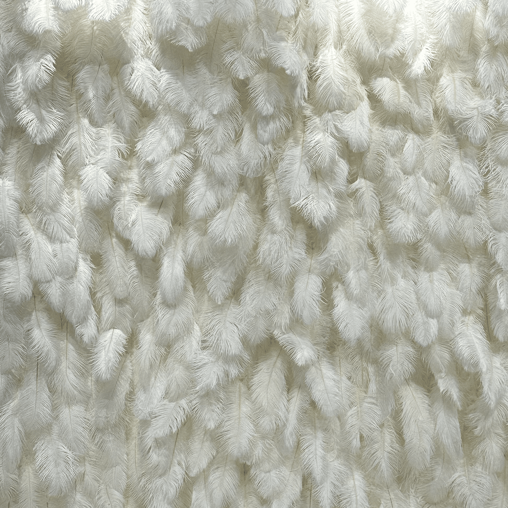 White feather backdrop texture, ideal for enhancing photography settings, showcasing soft, delicate details suitable for various photo shoot themes.